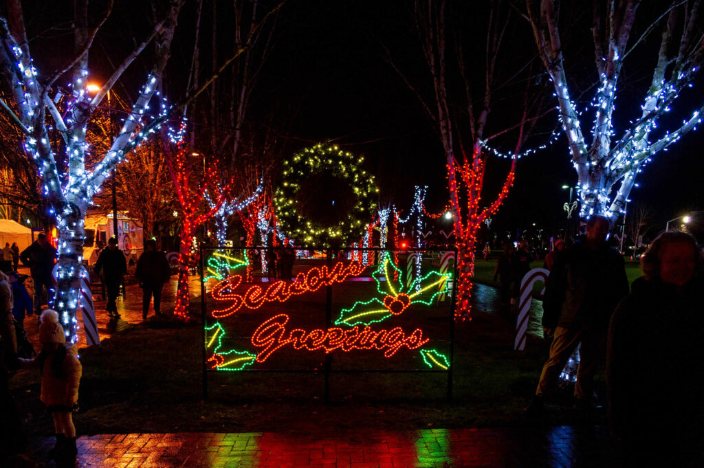 Holiday lights in Porltand, Oregon